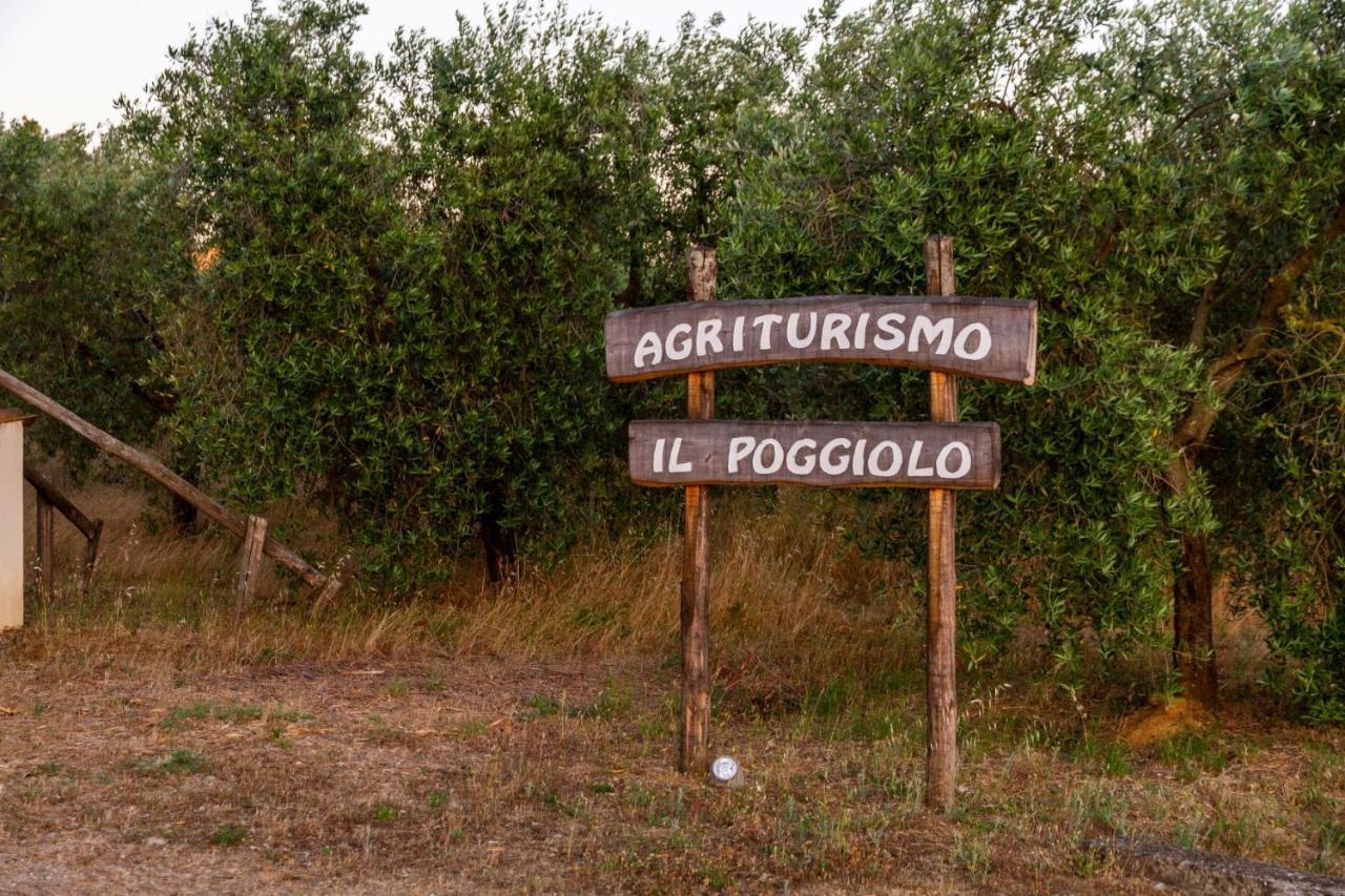 格罗塞托Agriturismo Il Poggiolo别墅 外观 照片